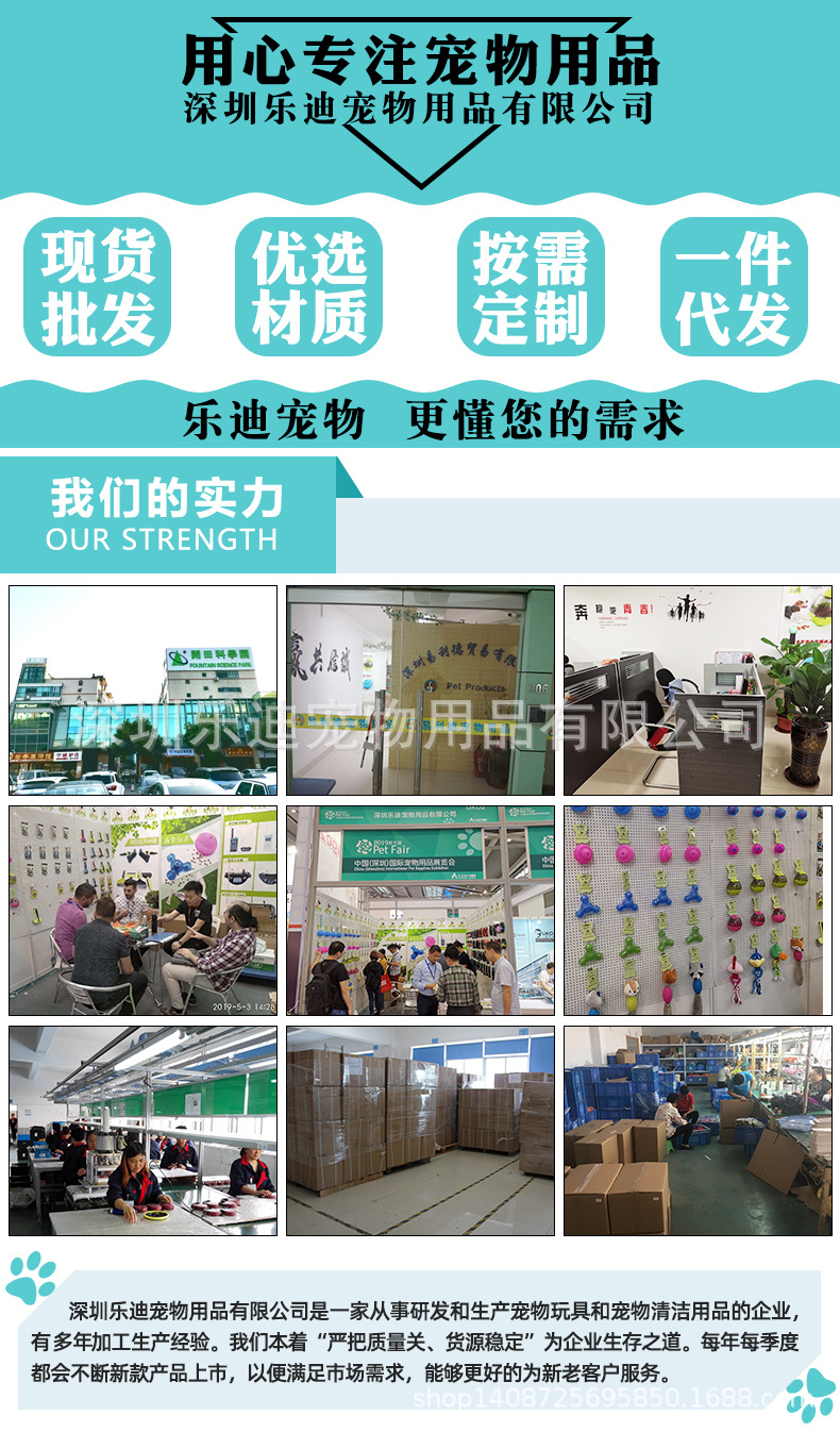 公司简介