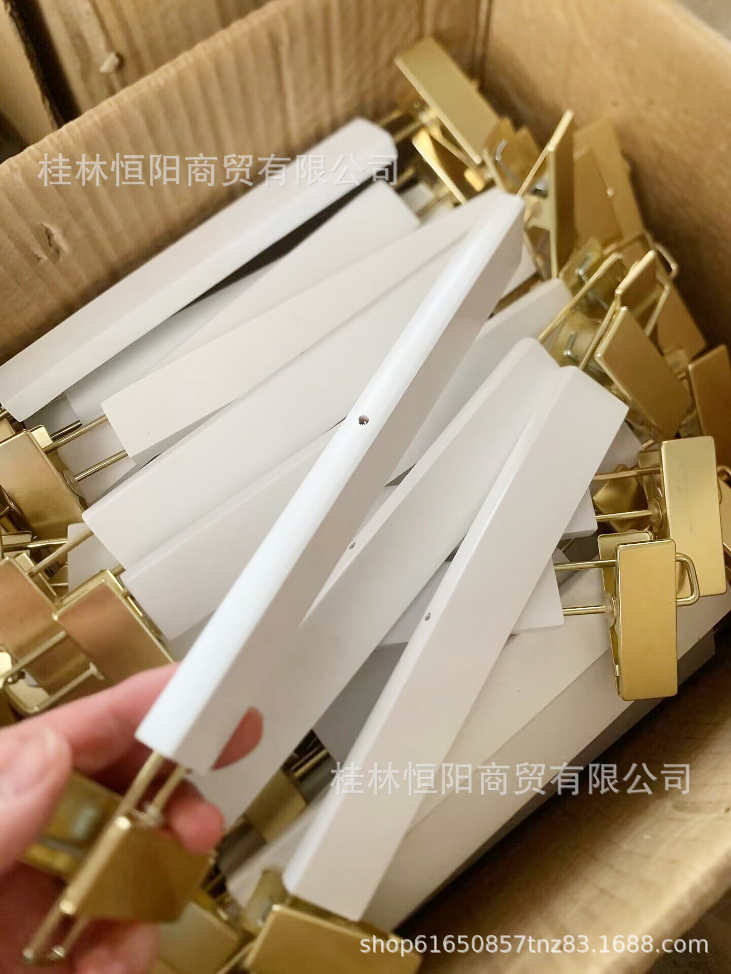 QQ图片20230611125224