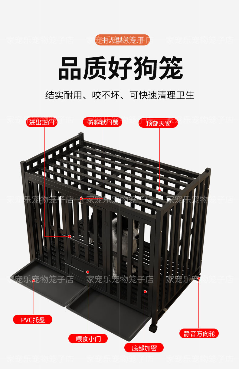 d8d39e25-02a0-4da3-b32b-e39072e74ebd.jpe