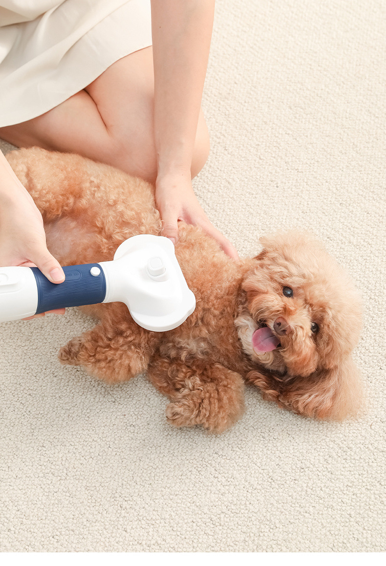 ad3ec175-b7a6-40b6-bc7c-8e23f08d4fb9.jpe