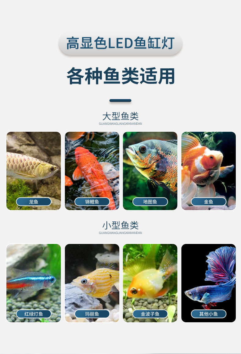 0b88aa1d-900f-4c45-a722-e82db20bc3ff.jpe