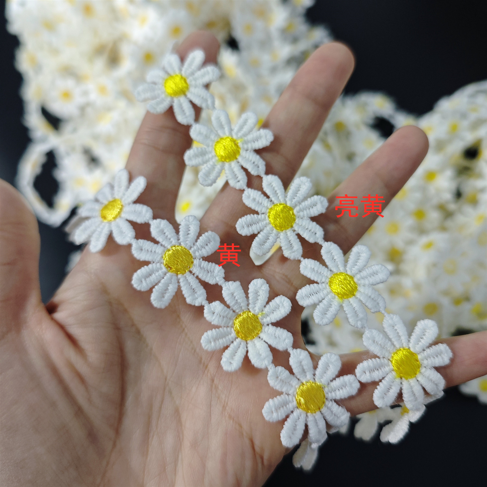 小雏菊花边