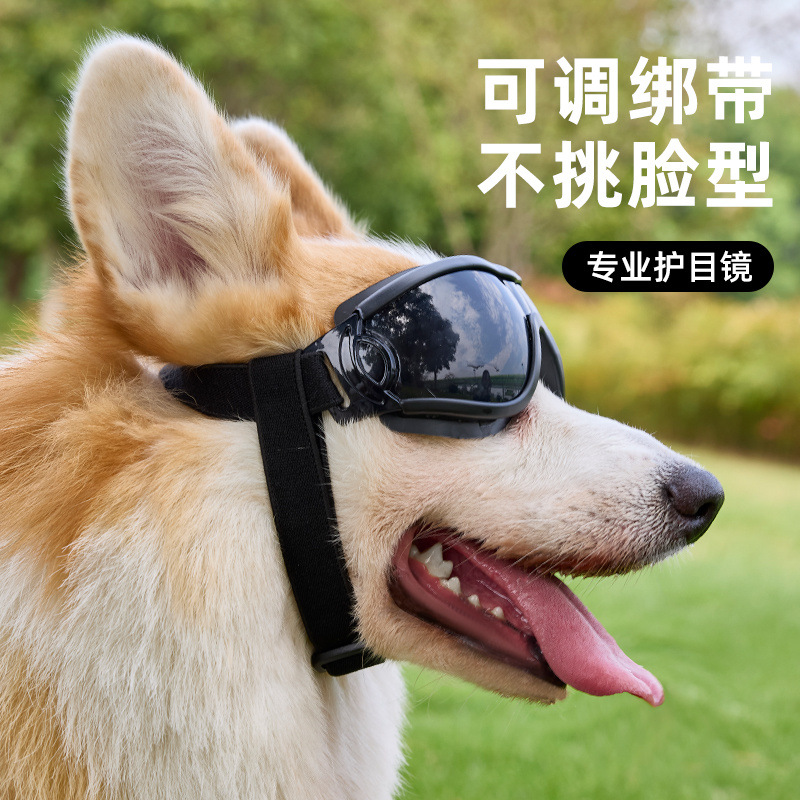 eb99a35c-c825-4b1c-b94b-a4f98399941f.jpe