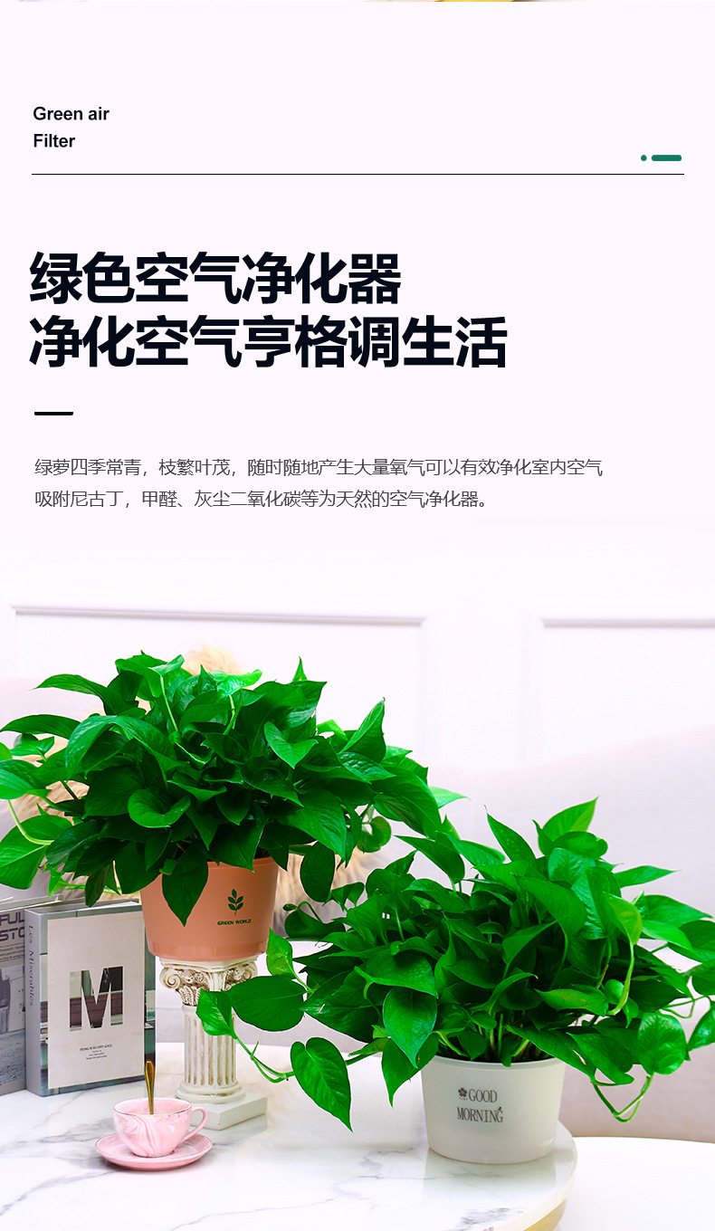 1d2b22ea-9a31-412e-b6c5-ecd5b6185a9e.jpe