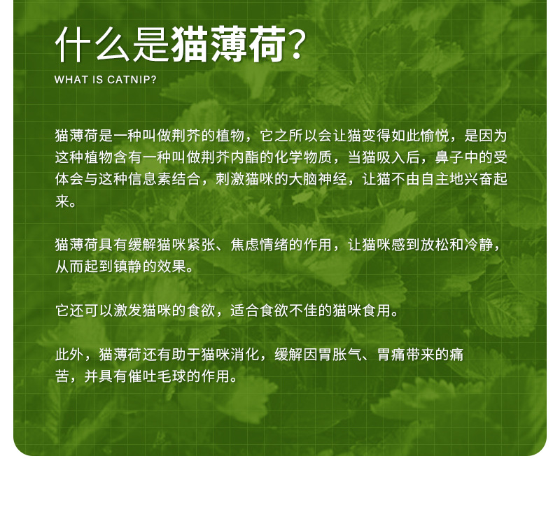 猫薄荷不倒翁-详情_05.jpg