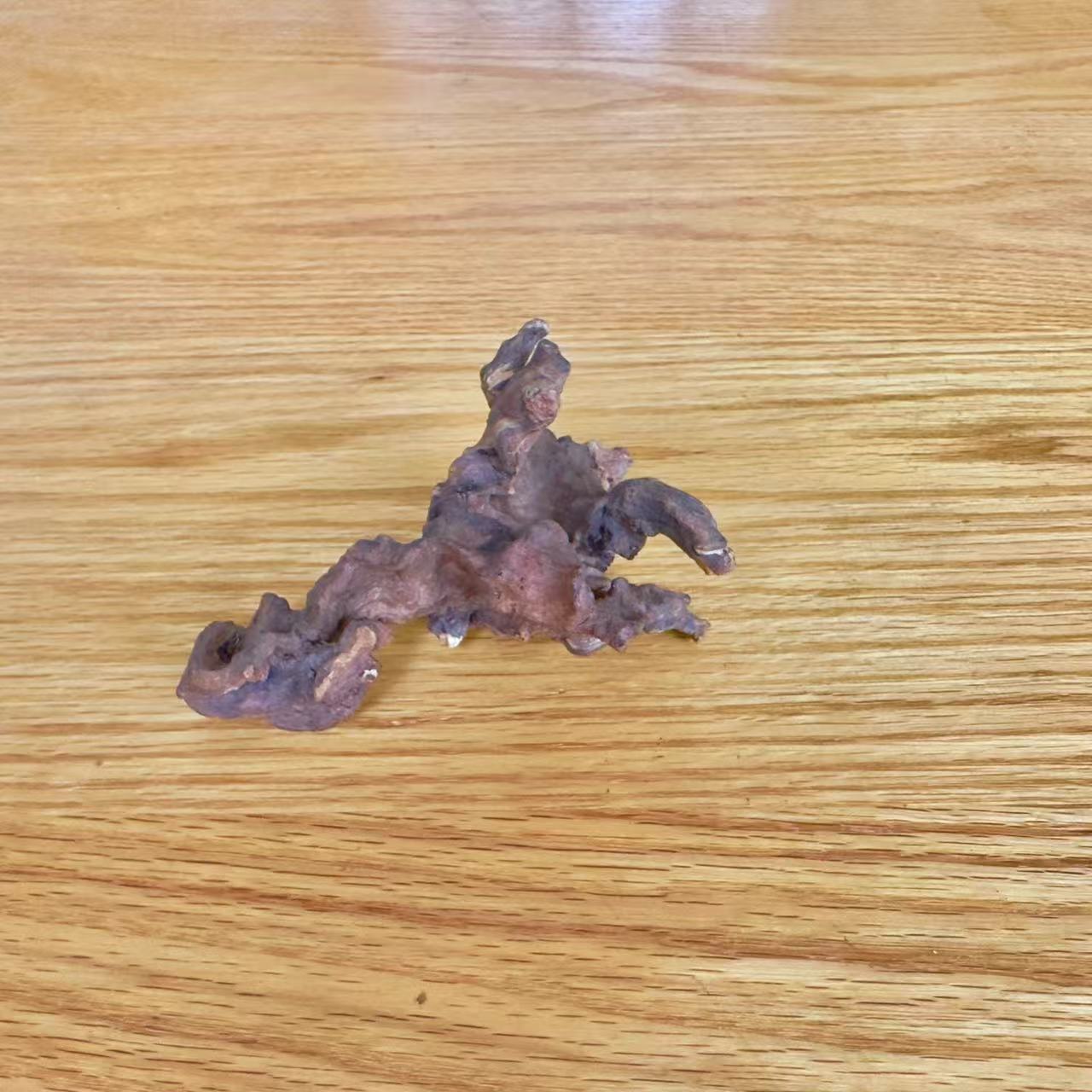 微信图片_20250617114820_1789