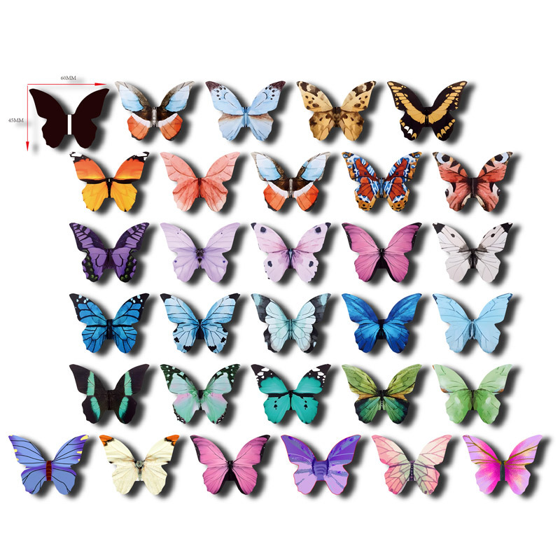 大蝴蝶-30款--60X45MM-2023-12-22-01