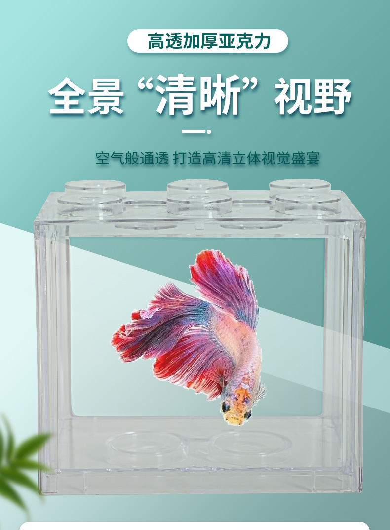 高透积木鱼盒_05.jpg