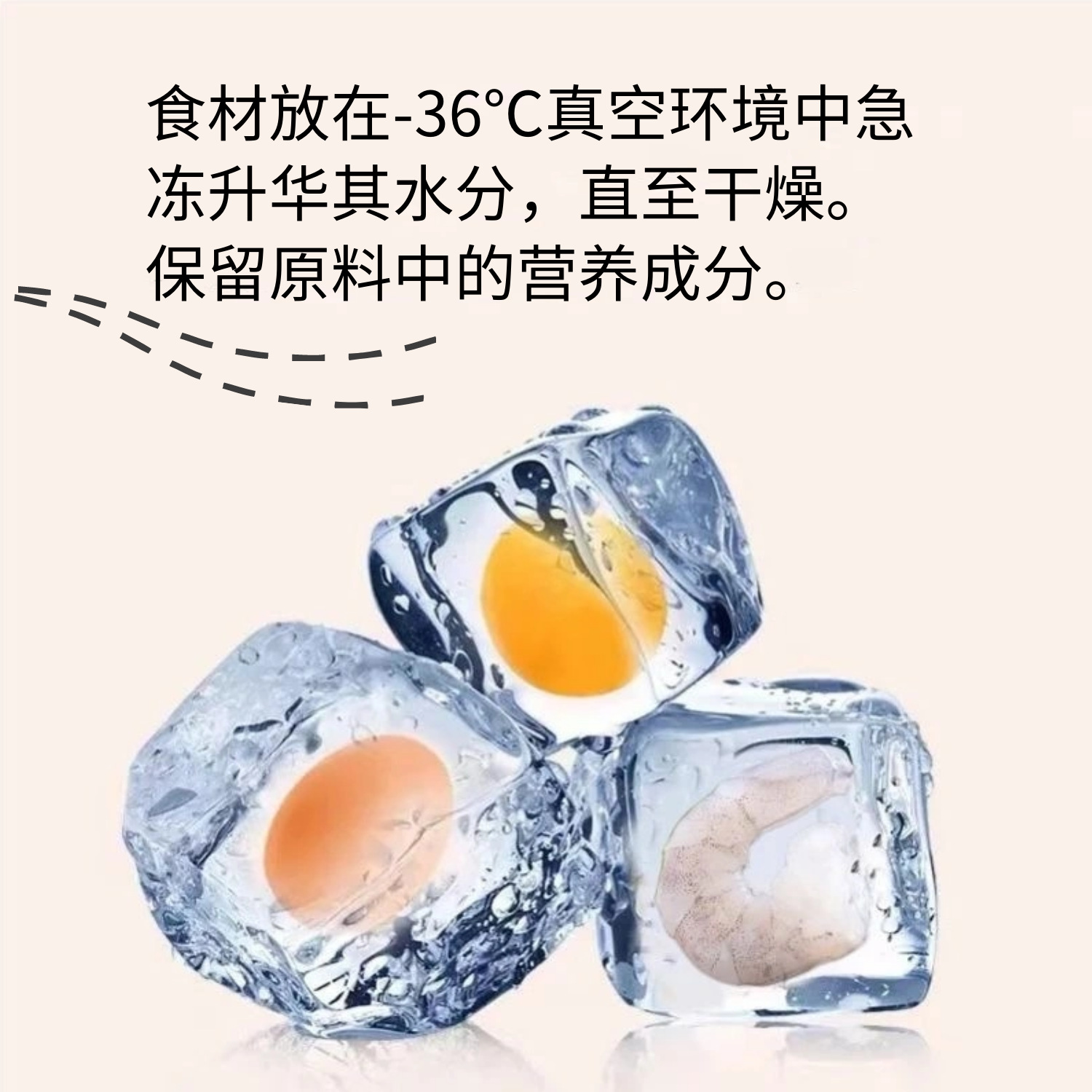 新冻干详情
