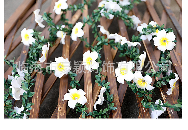 O1CN0179uPb31IDStVLJtqd_!!2200