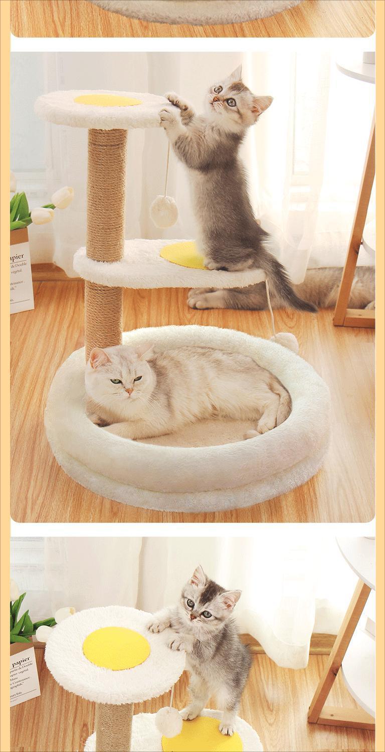 78ba289f-03ec-4673-9bf6-ec9d4152b3de.jpe