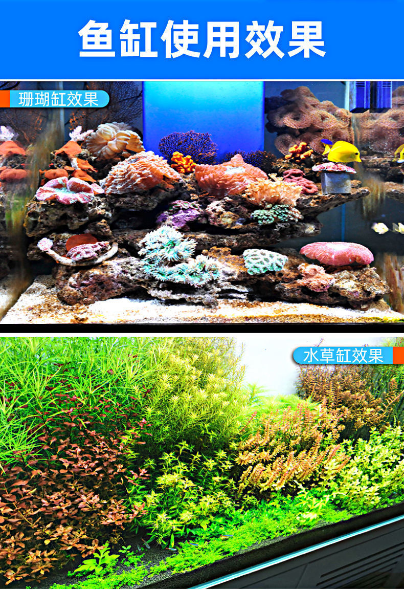 563a1b37-b556-45a1-9cbe-e4609112d631.jpe