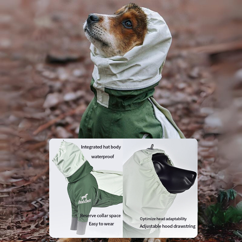 20240318153220_e91e5d87-b8d9-4