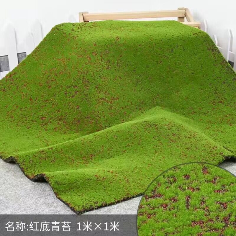 QQ图片20240608090316