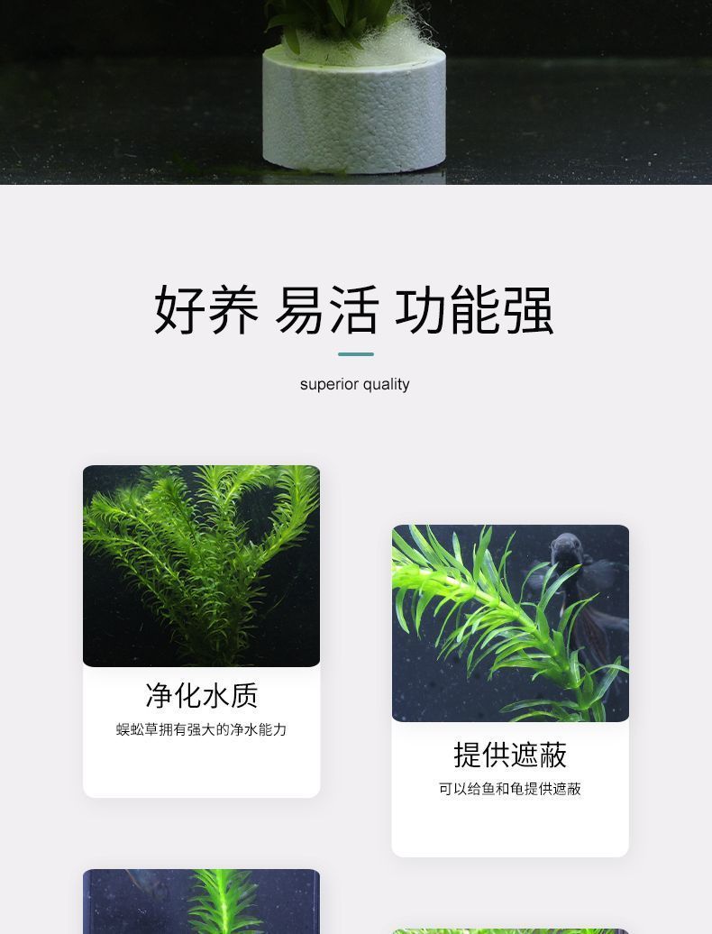 8da621bc-b814-4efd-913f-3f75f7a5907d.jpe