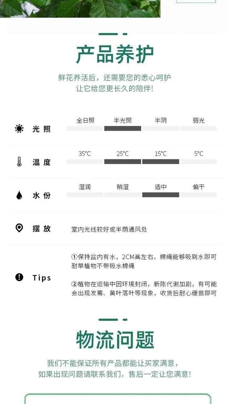 c400310a-d329-4853-9ae7-14dc2f25814e.jpe