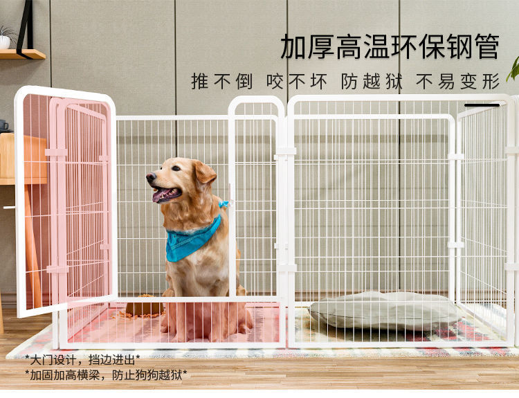 f91c8b73-1032-4cc2-ab96-69b3e17d8e27.jpe