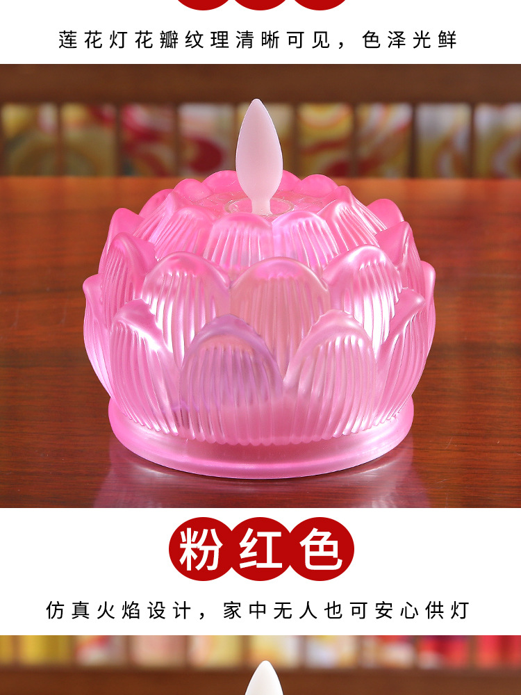 十瓣摇摆_10.jpg