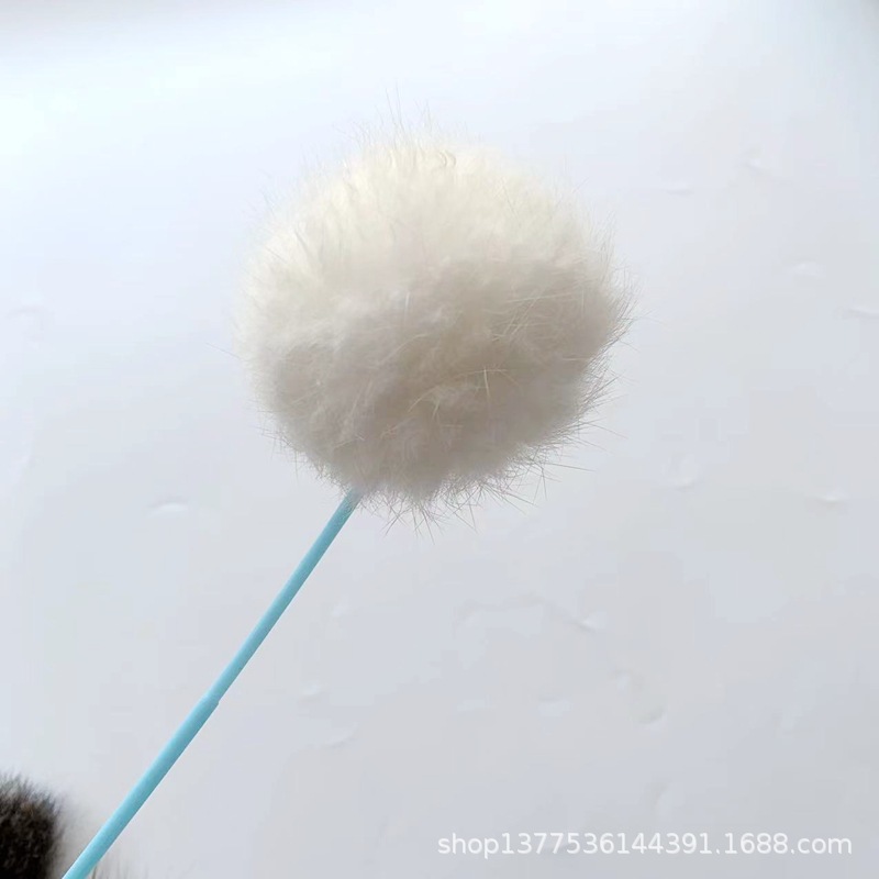 短兔毛 (13).jpg
