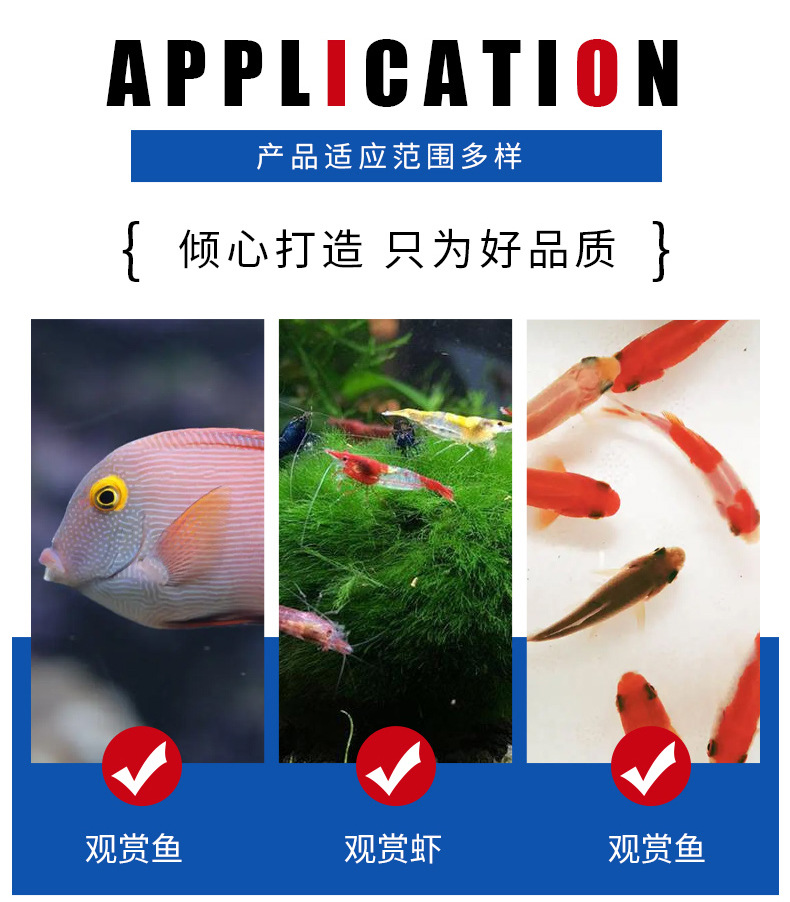 活鱼运输带 (11).jpg