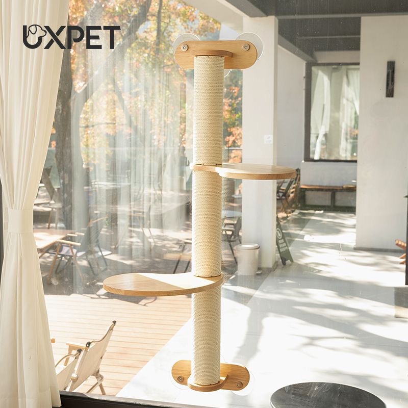 微信图片_20250220100208