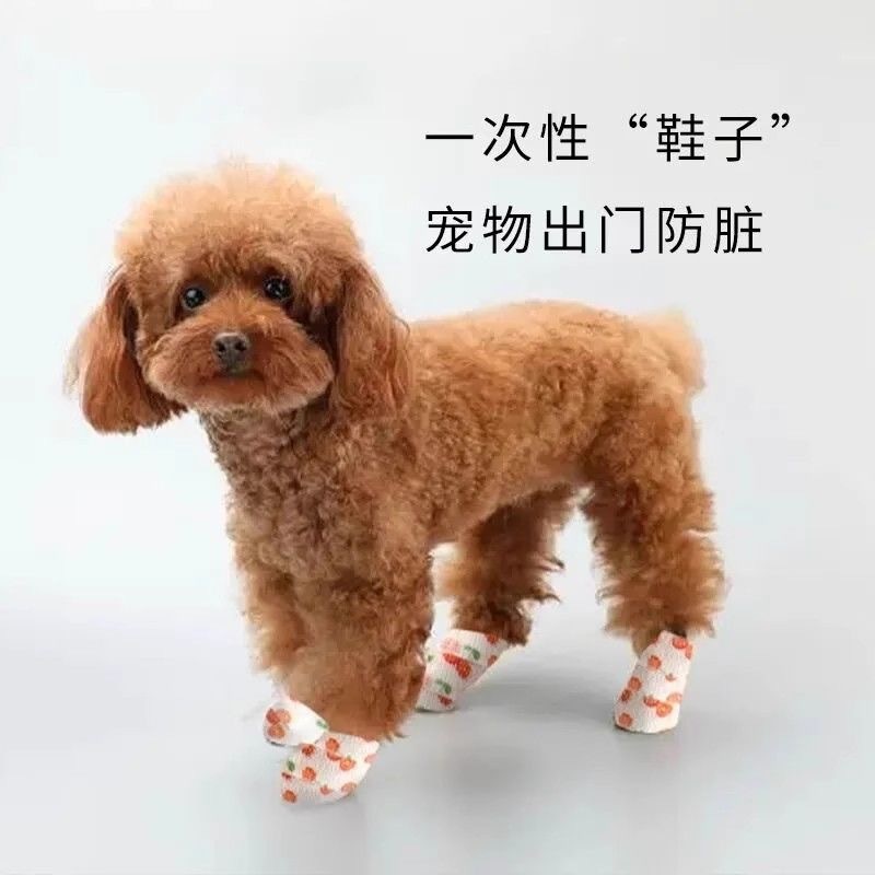 c1f24ddc-65c1-4dac-a010-e5f9bfd8a22d.jpe