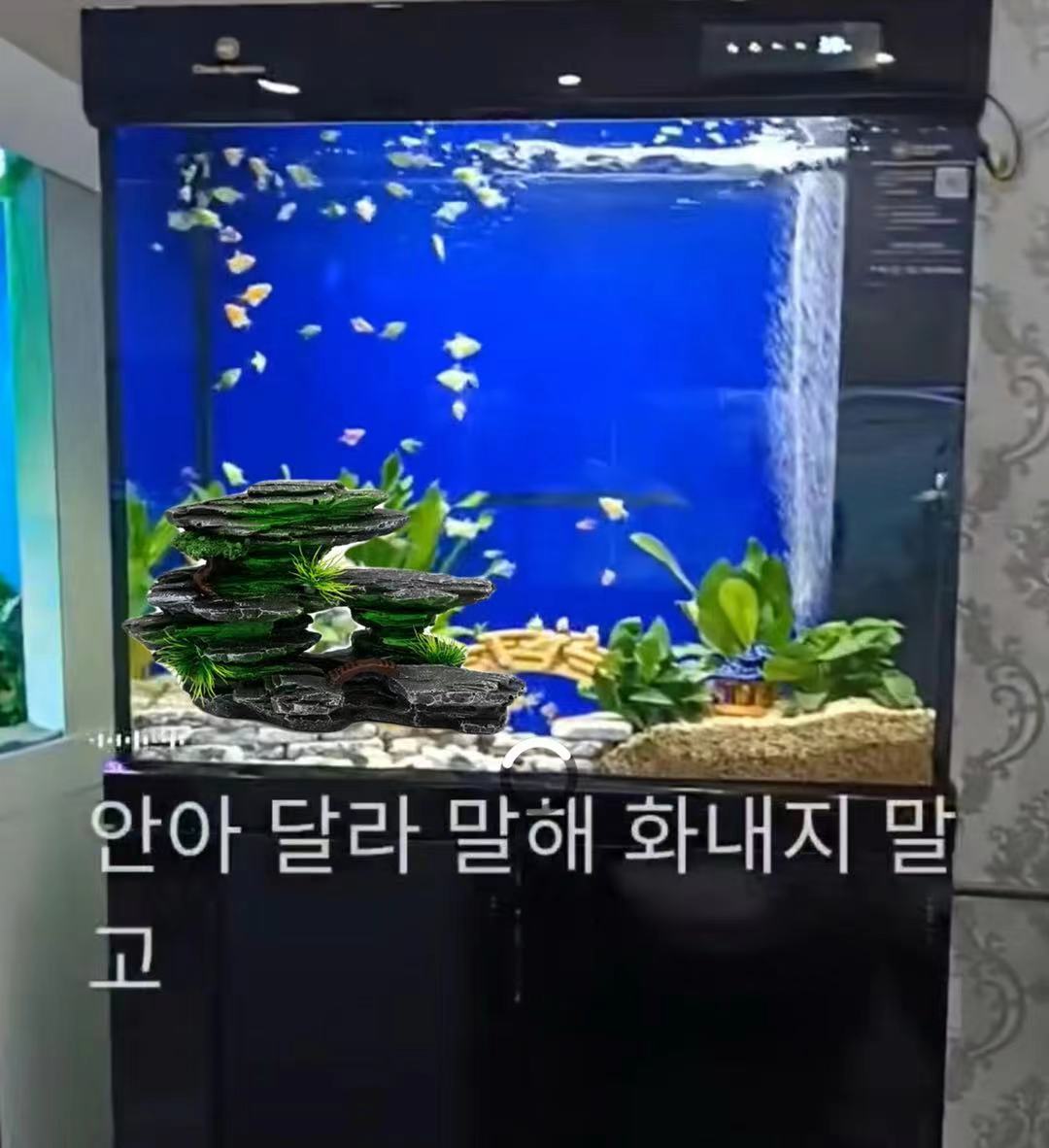 微信图片_20210720235111