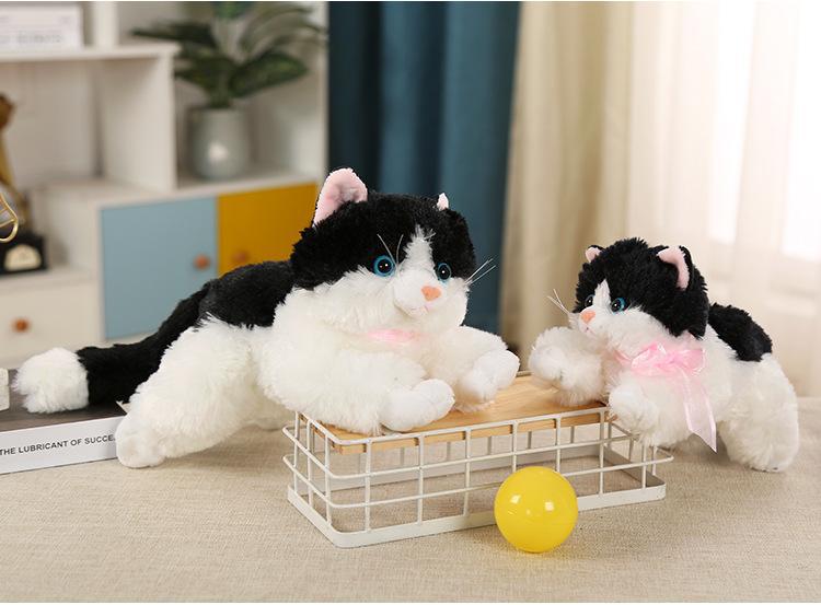 猫猫_16.jpg