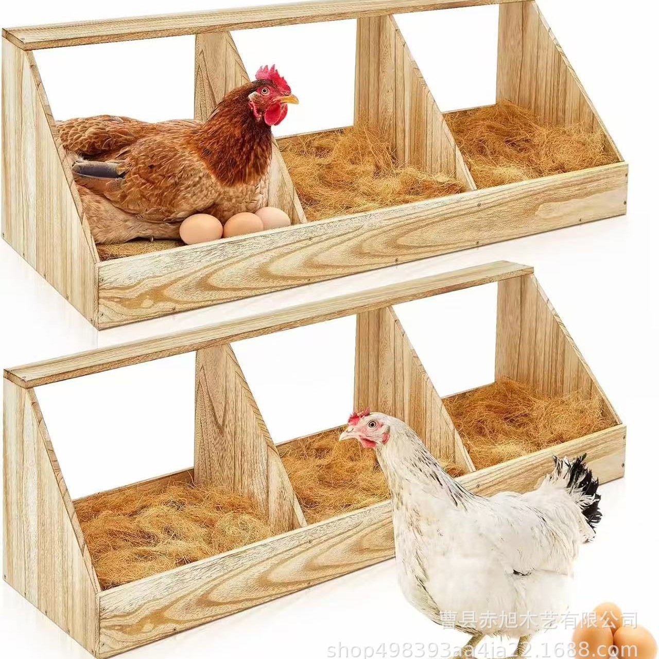 2025-06-13 11:34:18.jpg