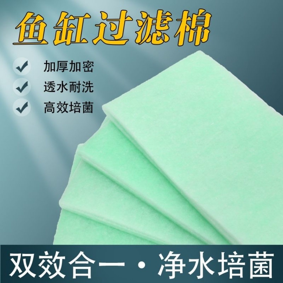 eb923e9d-637d-4166-bc7c-7d2a041f61e9.jpe