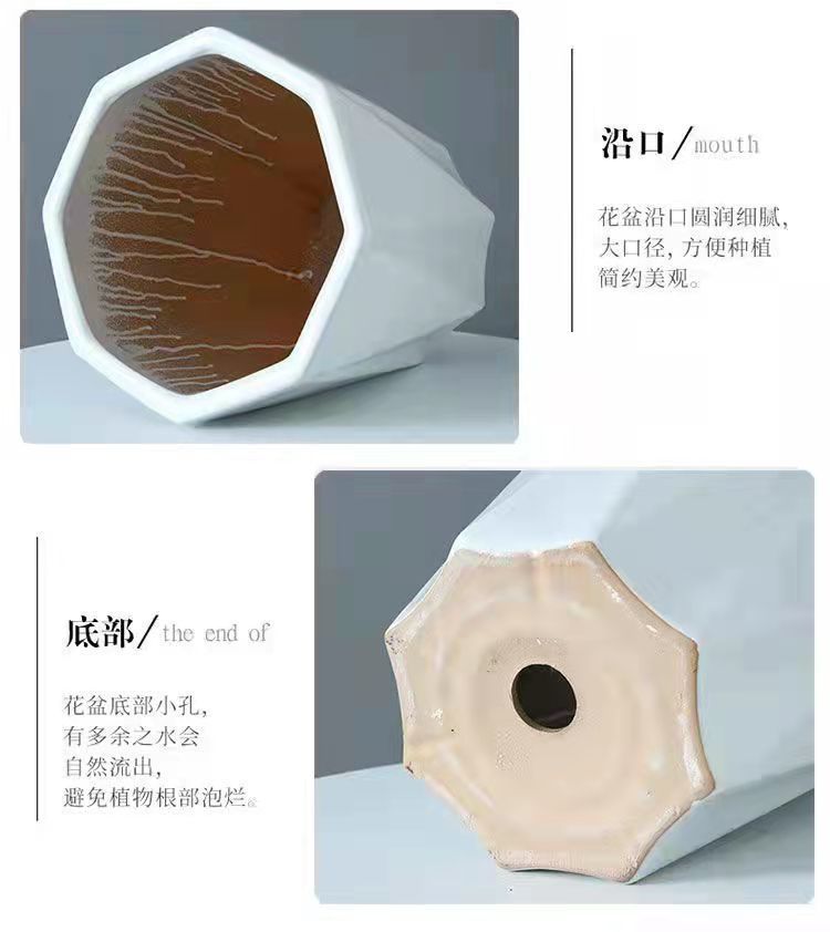 c62ff587-9638-4133-bc0f-44e68ecfd851.jpe