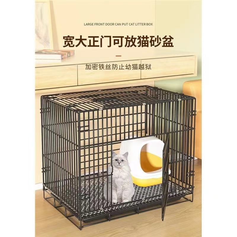 40185a90-c92a-4702-968a-996d2c423a34.jpe