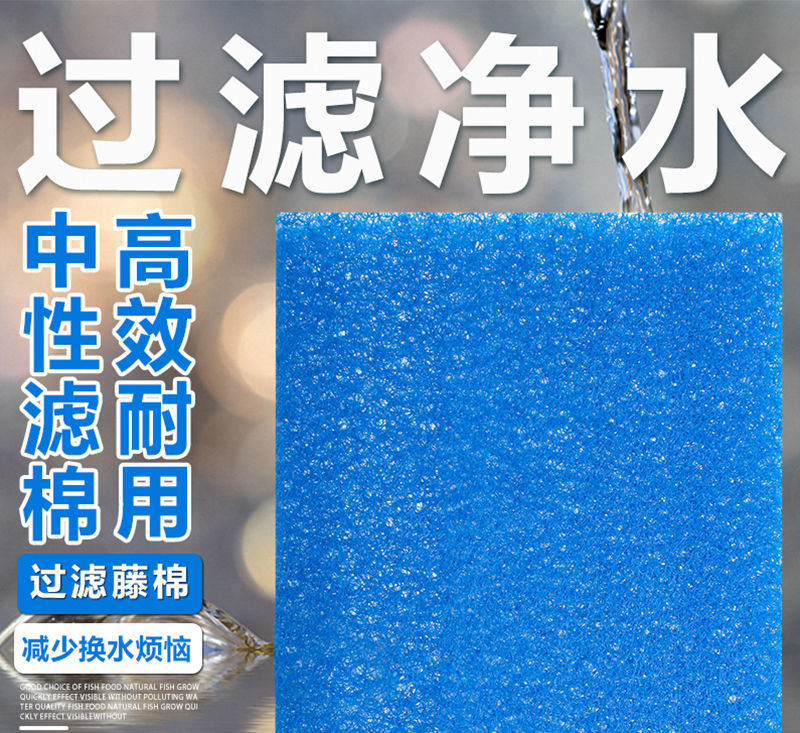 065ef855-6706-4034-94c6-e221eea3dec0.jpe