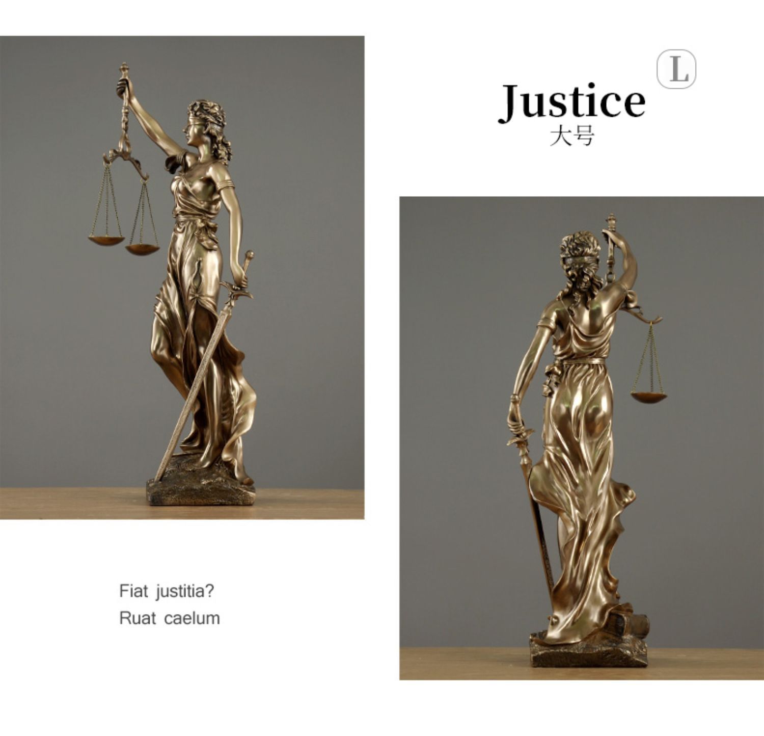 O1CN01uHckmD1S1EVSfL2Hy_!!4290