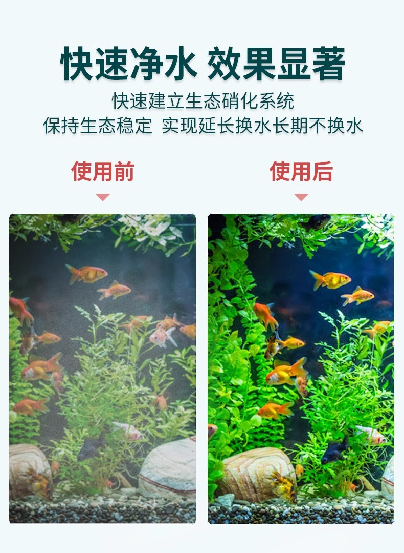 详情9.jpg