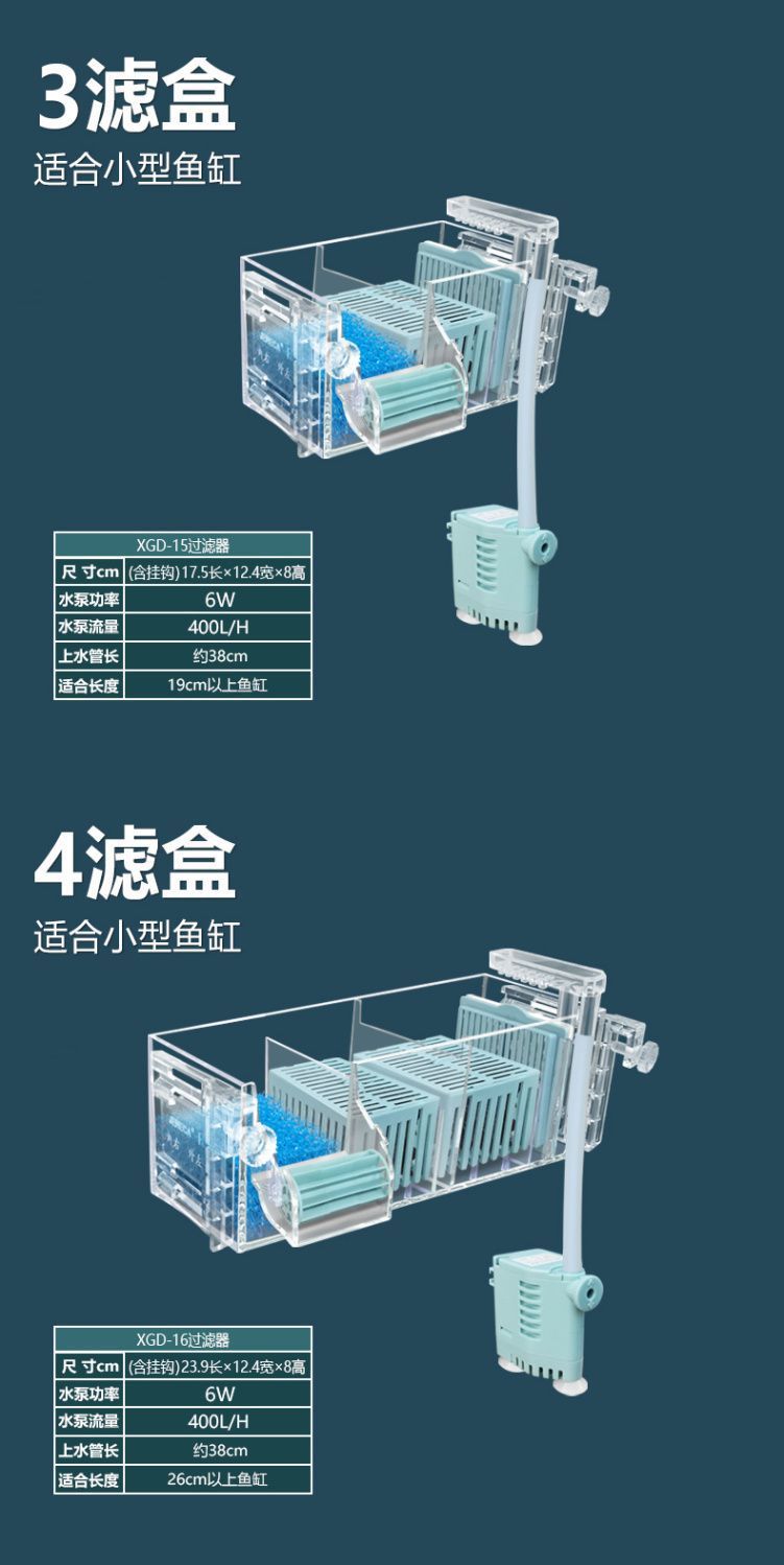 eb6f58b4-f16b-4ac9-b3ef-7de5a9d33cf6.jpe