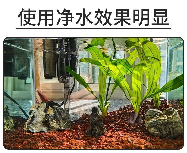 c447feec-2aa5-4c6d-8d22-2d00aca6ab56.jpe