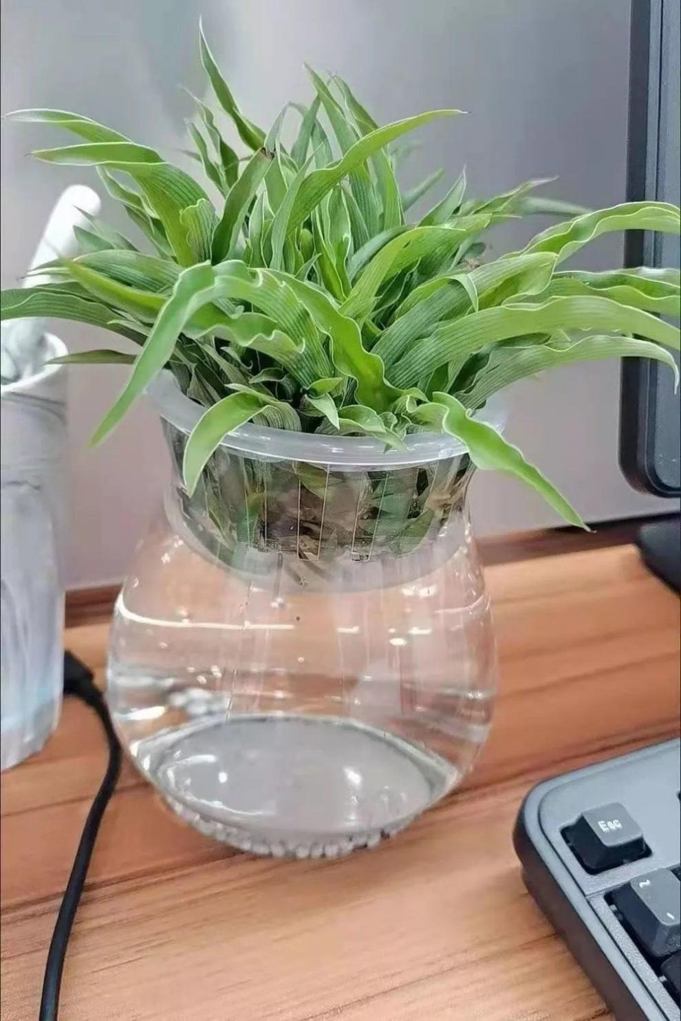 fe1567dc-4d76-412d-ab10-765ac768e4ae.jpe