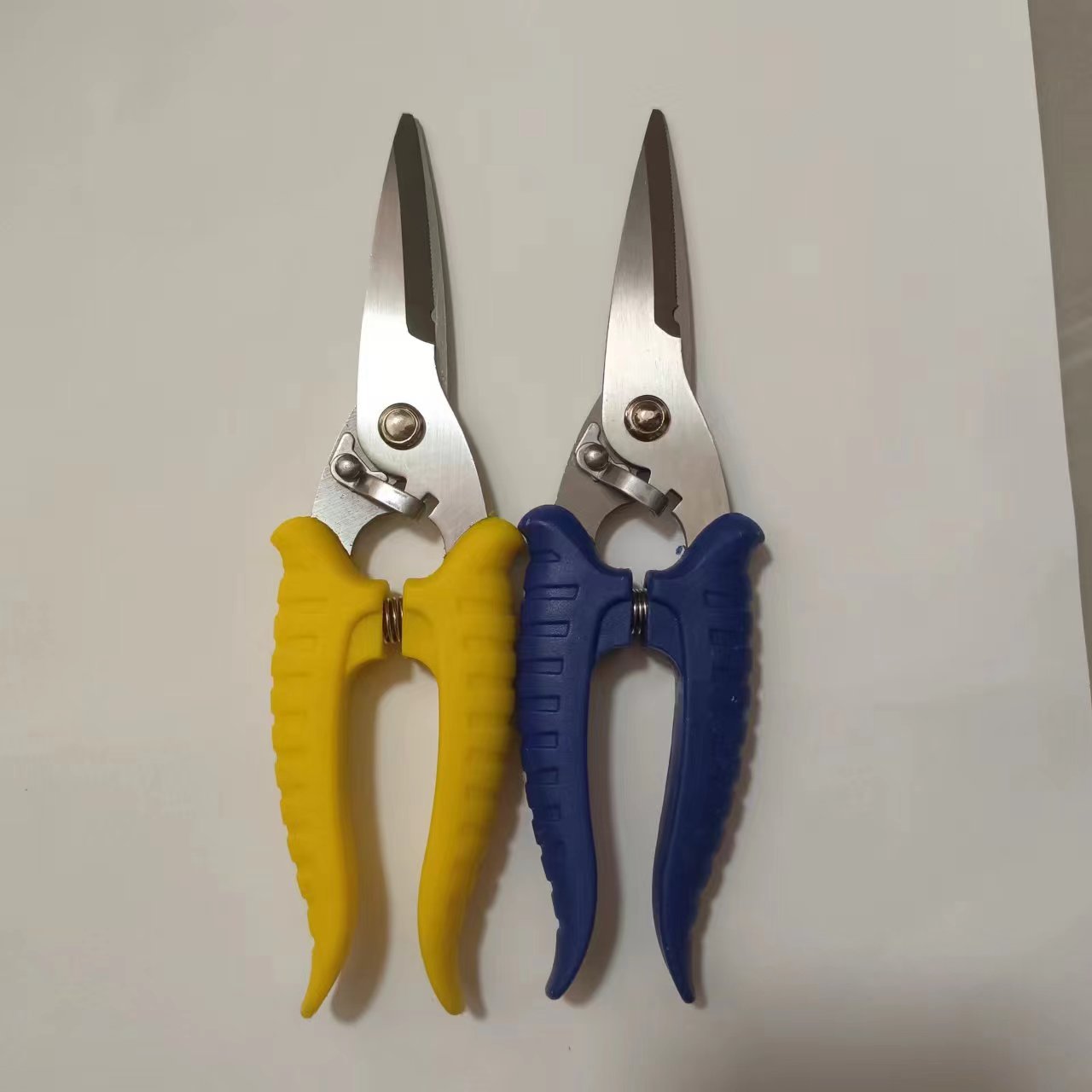 微信图片_20240428092922