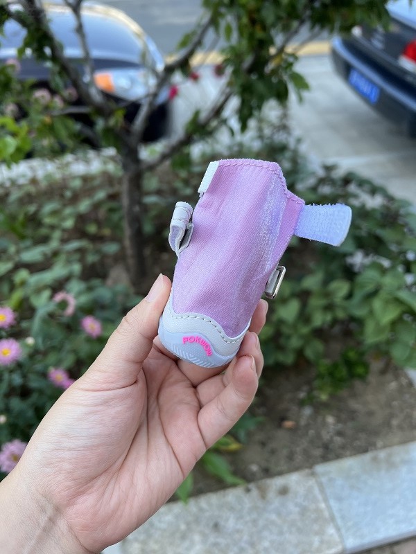 O1CN01lVOm3z1ziB2WRugcf_!!2655