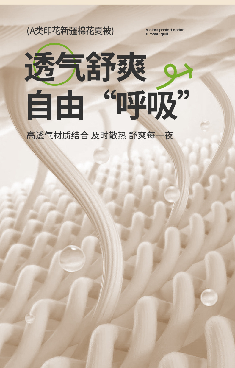 e8728e5a-2e90-4957-bb81-10c7b6dac6ac2025