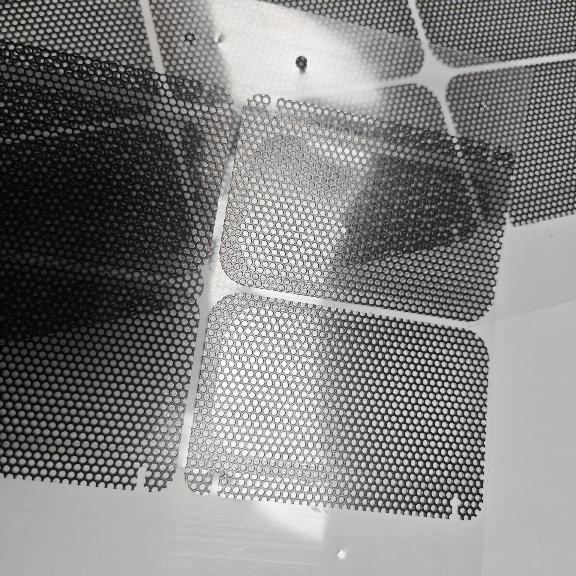 IMG_20250316_174316 拷贝.jpg