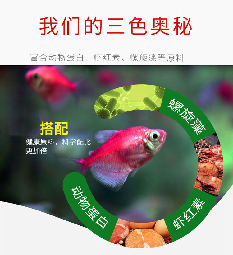 海豚增艳薄片详情_gai3-1.jpg