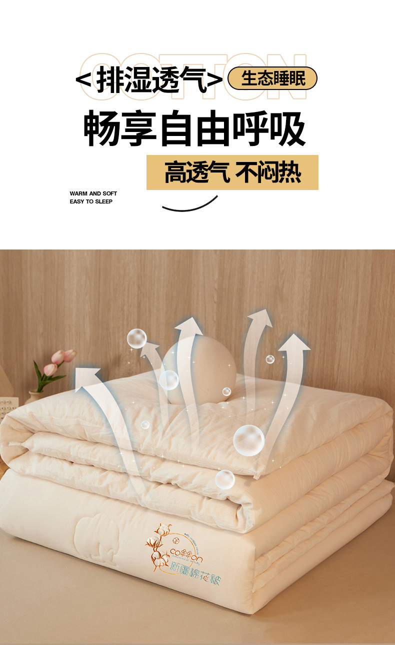790-A类里外全棉棉花被_15.jpg