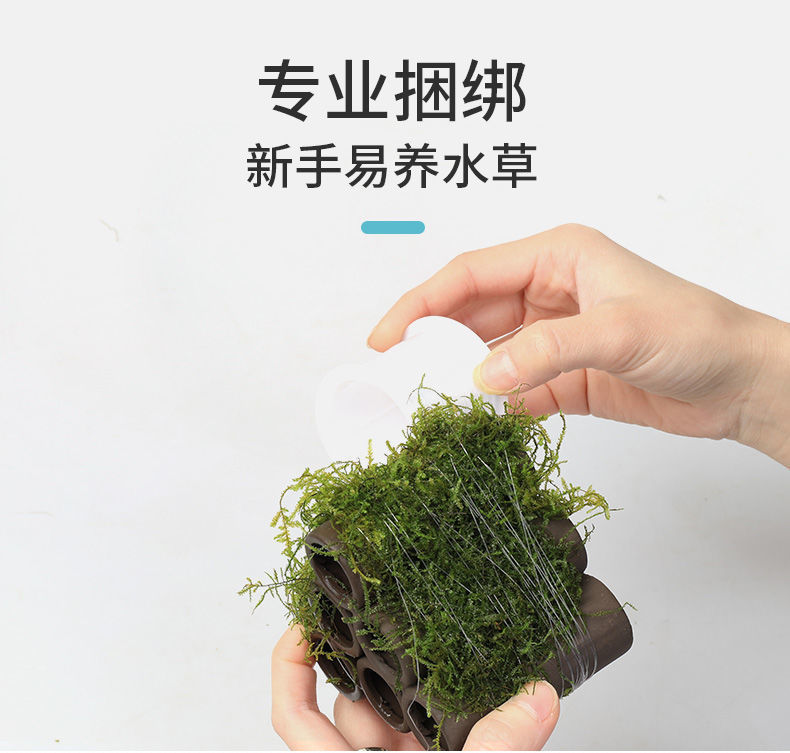 e9534210-a8a3-497e-8097-4144dc4dfb50.jpe