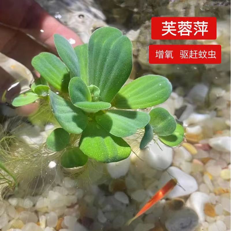 2002d790-3f8c-45f1-9bff-40ed4edb671a.jpe