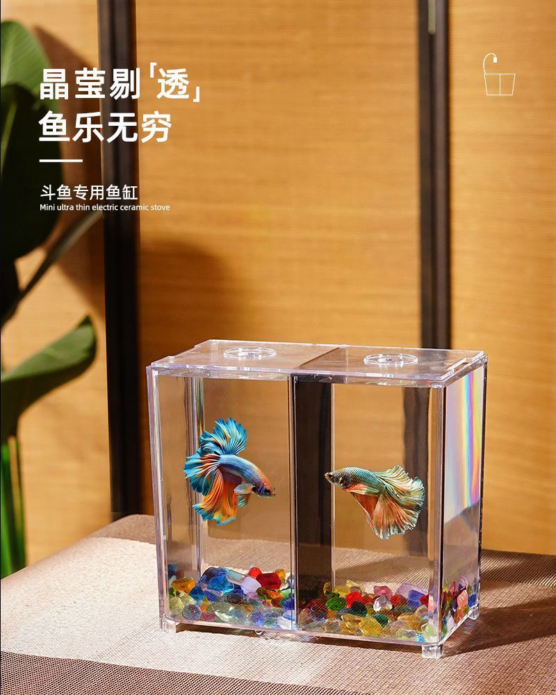 6ff075bc-ad93-4423-8d69-54f68a28d602.jpe