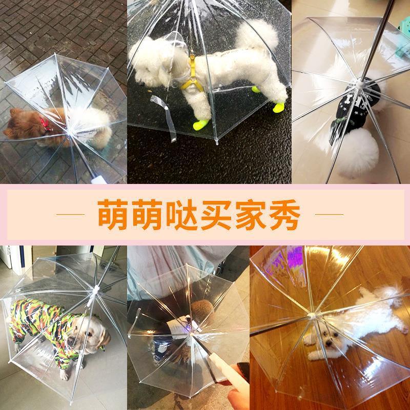 ee37494aad7eec60c5ae24b737712778.png