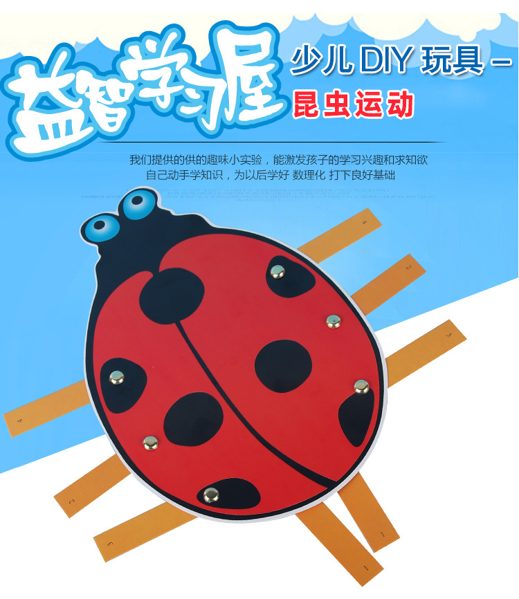 昆虫运动_01.jpg