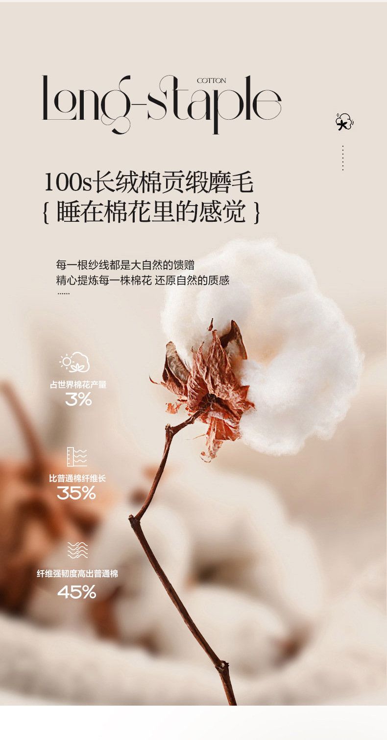 64062675-4b7c-485c-97e7-8d8ce247c4732024